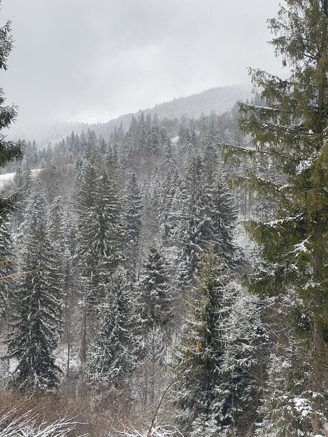 Дома для отпуска Chalet Trostian Славское-5