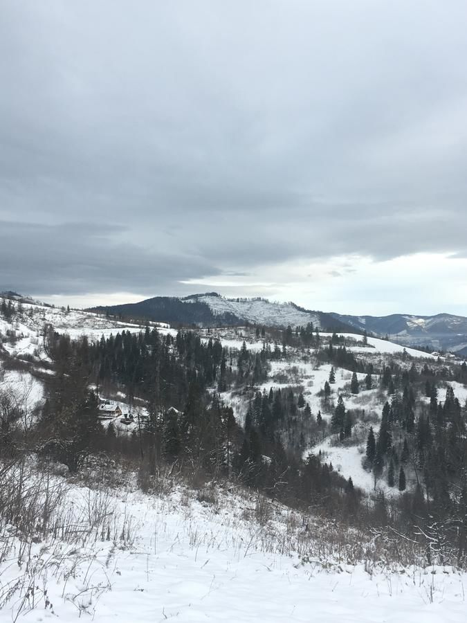 Дома для отпуска Chalet Trostian Славское-38