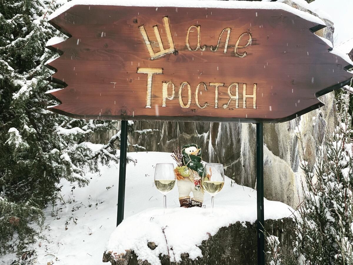 Дома для отпуска Chalet Trostian Славское-7