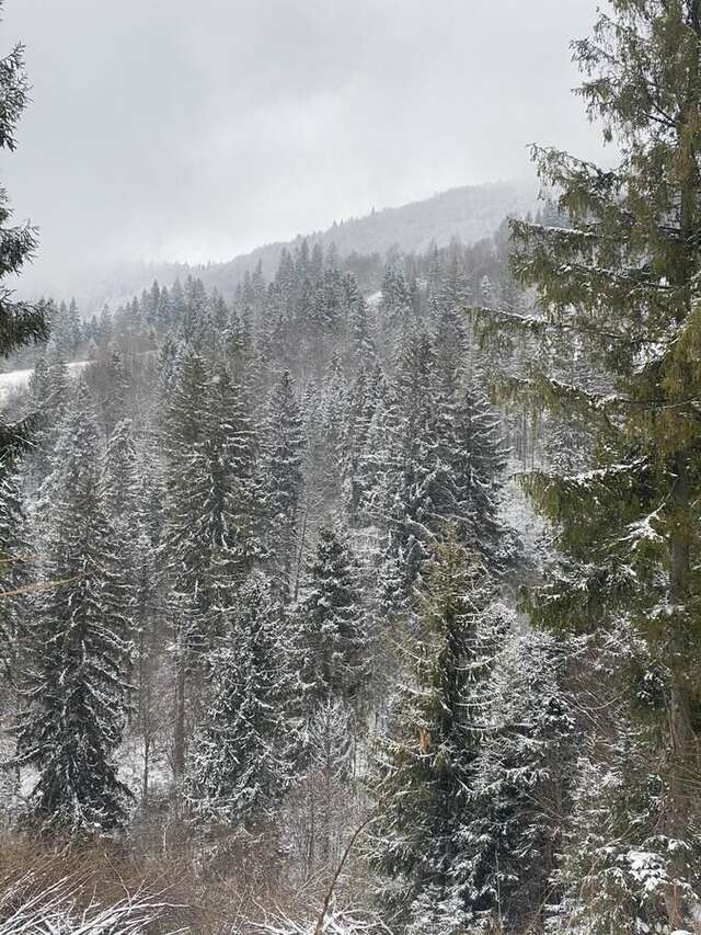 Дома для отпуска Chalet Trostian Славское-4